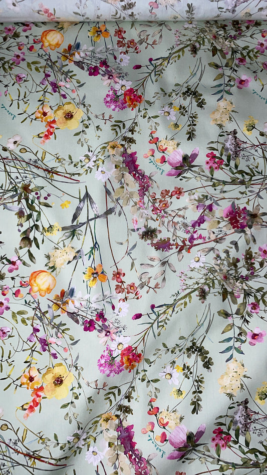 Italian Cotton 🇮🇹